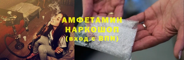 шишки Гусиноозёрск