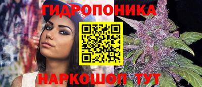 хмурый Аргун