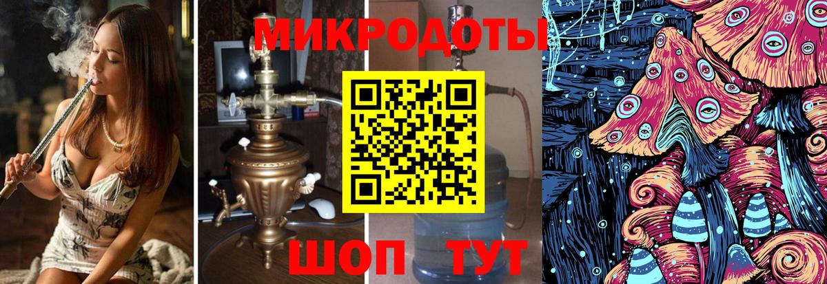 Псилоцибиновые грибы Psilocybe Ахтубинск