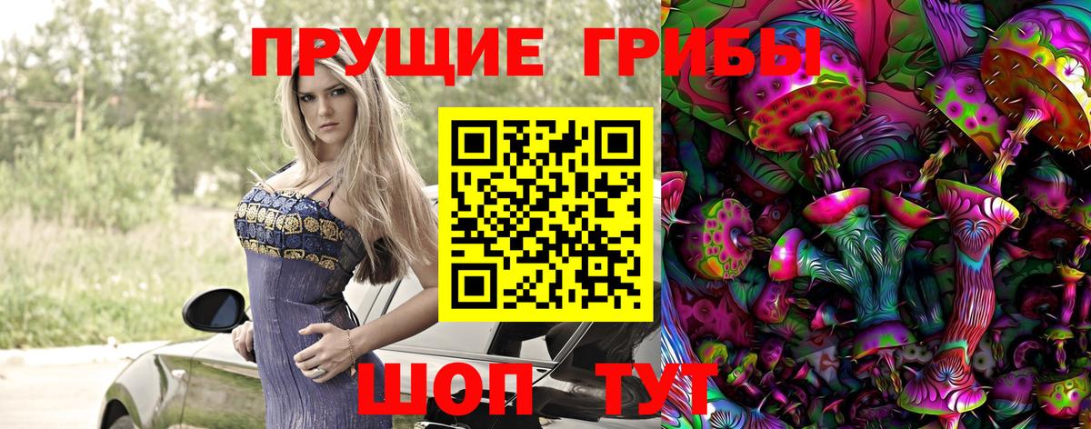 Псилоцибиновые грибы Psilocybe  Вход с VPN  Ахтубинск 