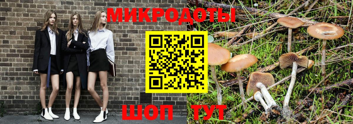 Галлюциногенные грибы Psilocybine cubensis  Ахтубинск 